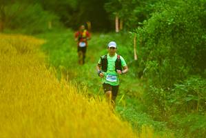 BIB: 1515
                            <button type="button" onclick="openModal(13455530)" class="btn btn-primary btn-sm float-right btn-popup" data-toggle="modal" data-target=".modal-high-quality">
                        <i class="fas fa-shopping-cart"></i> Add to Cart
                    </button>
                                            <button type="button" onclick="isThisMe(13455530, true)" class="btn btn-success btn-sm float-right btn-popup btn-isme hidden" data-toggle="tooltip" data-placement="bottom" title="นี่คือรูปของคุณใช่ไหม คลิกที่นี่เพื่อเอาเข้าอัลบั้ม">
                        <i class="fas fa-plus"></i> Add to album
                    </button>
                    <button type="button" onclick="isThisMe(13455530, false)" class="btn btn-warning btn-sm float-right btn-popup btn-isnotme hidden">
                        <i class="fas fa-ban"></i> Remove from album
                    </button>